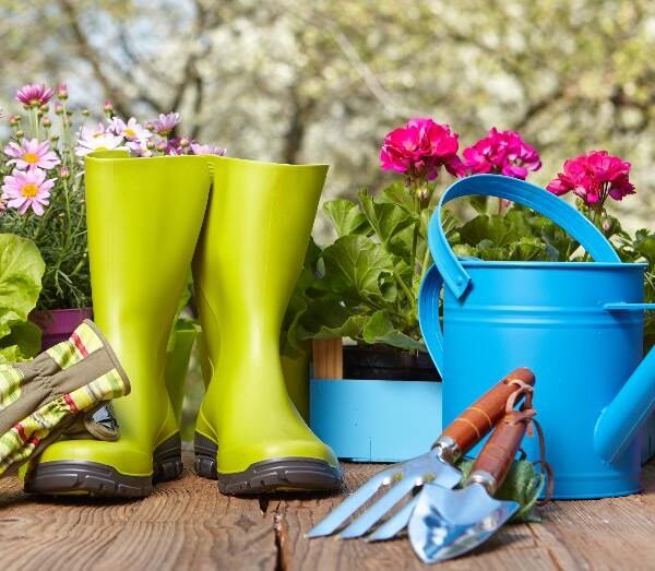 Jardinería y terraza